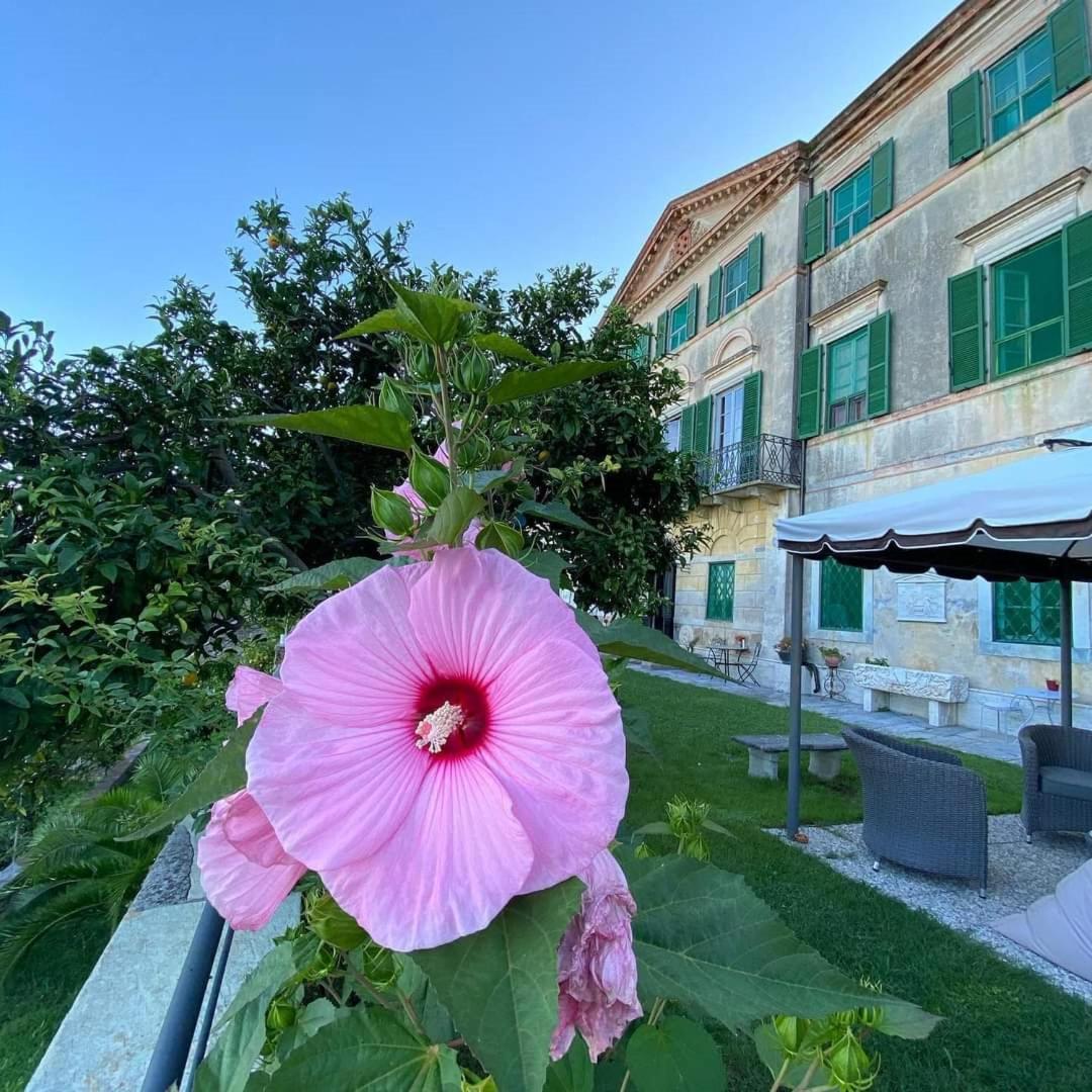Agriturismo Villa Cavallini Camaiore Εξωτερικό φωτογραφία