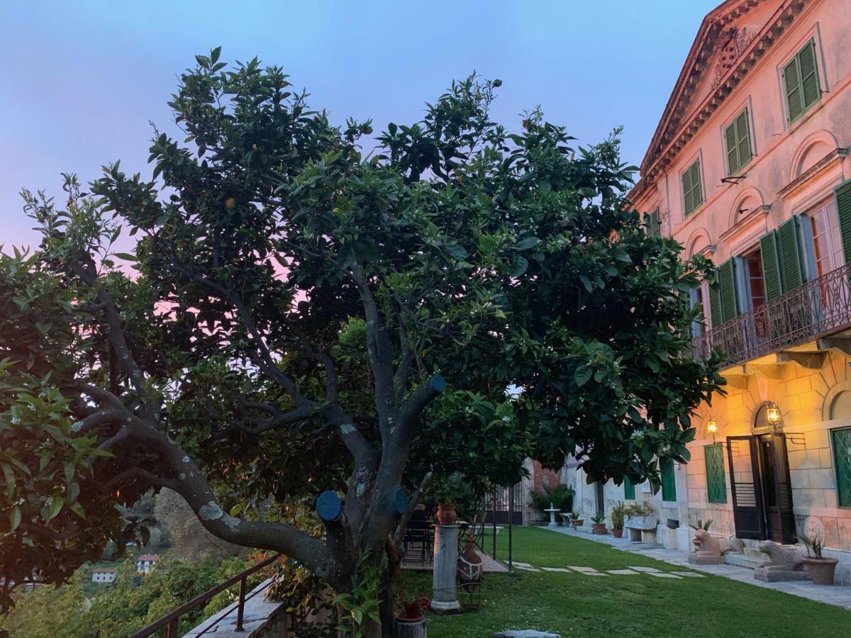 Agriturismo Villa Cavallini Camaiore Εξωτερικό φωτογραφία