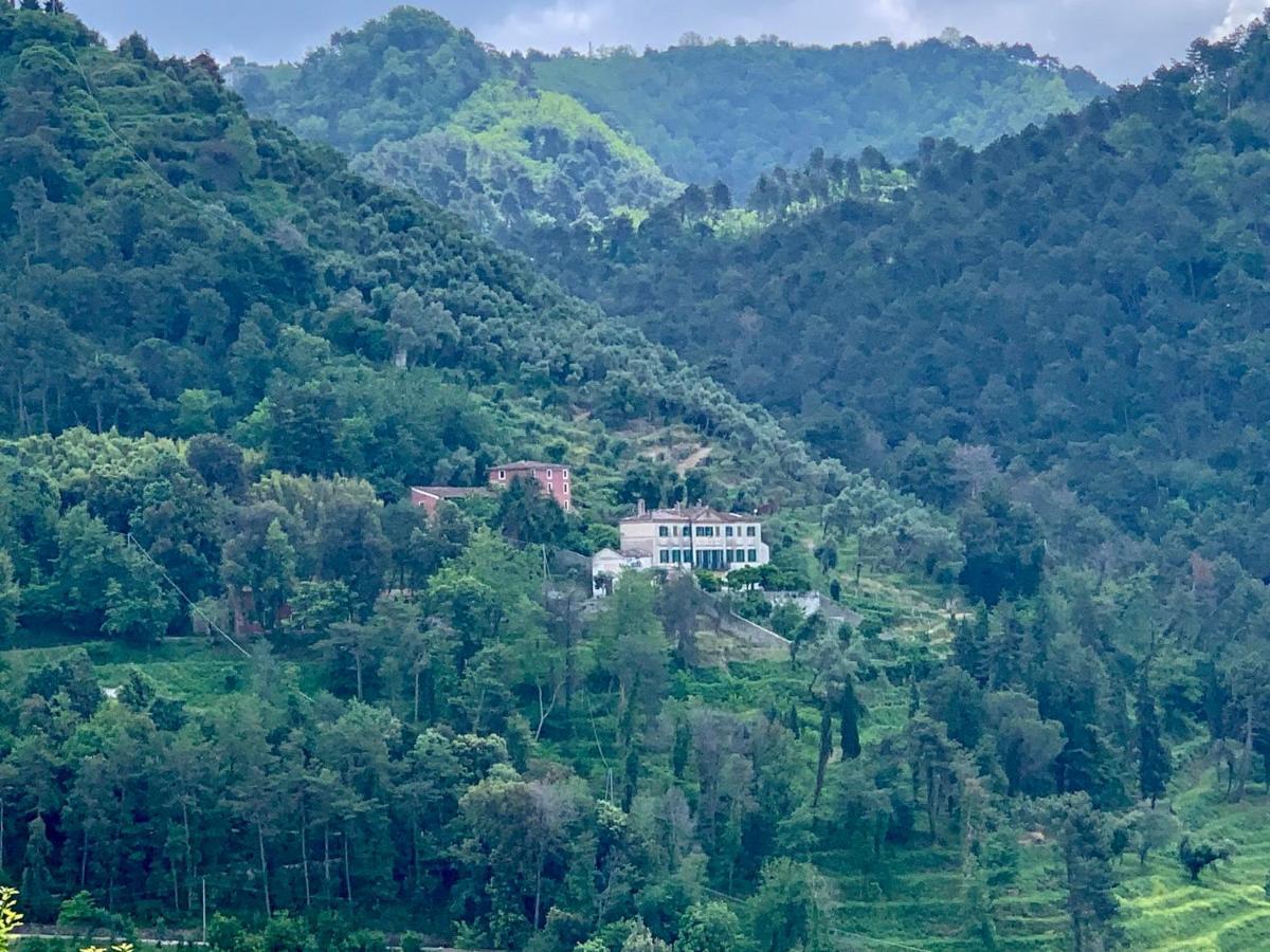 Agriturismo Villa Cavallini Camaiore Εξωτερικό φωτογραφία