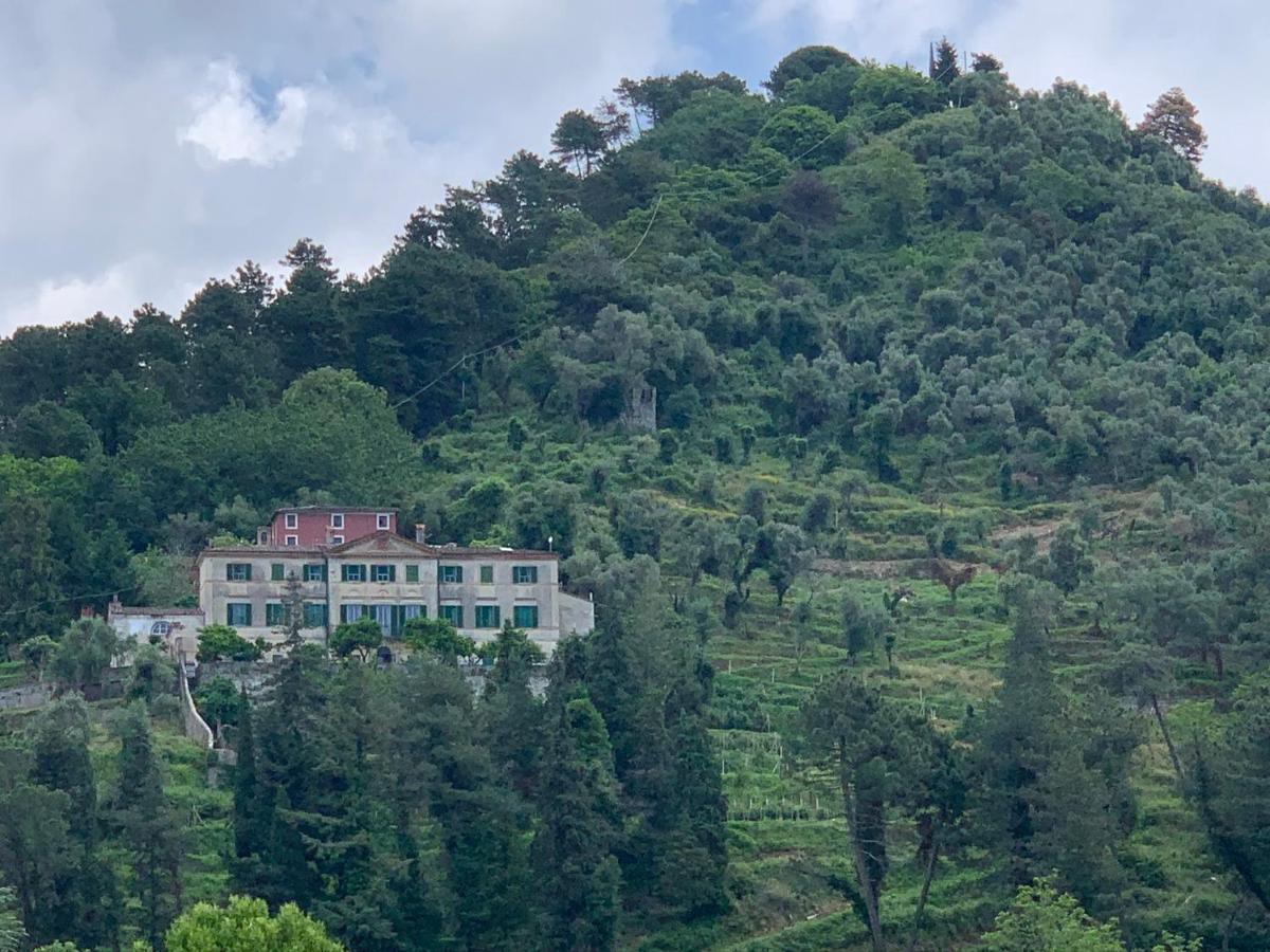 Agriturismo Villa Cavallini Camaiore Εξωτερικό φωτογραφία